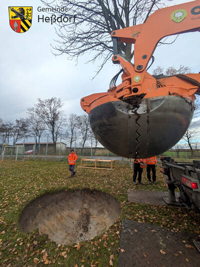 Hier wurde eine Kastanie vom RÜB 3 neu eingesetzt.