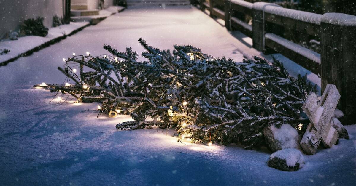 Abholung der Christbäume im Januar 2025 202501 2025 Aktuelles Heßdorf