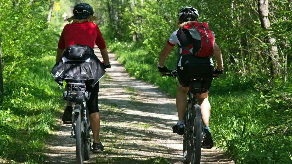 Radfahren im Wald