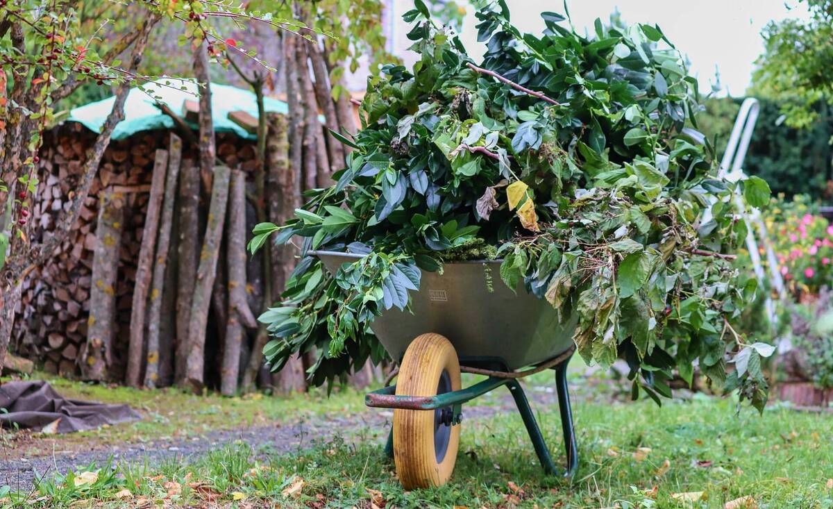 Grüngut Gartenabfall Symbolbild