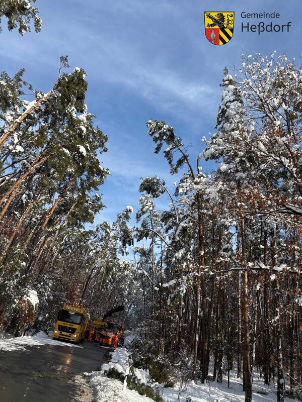 Hesselberg Straße durch Wald Gefahr durch Baumschlag 27.01.26