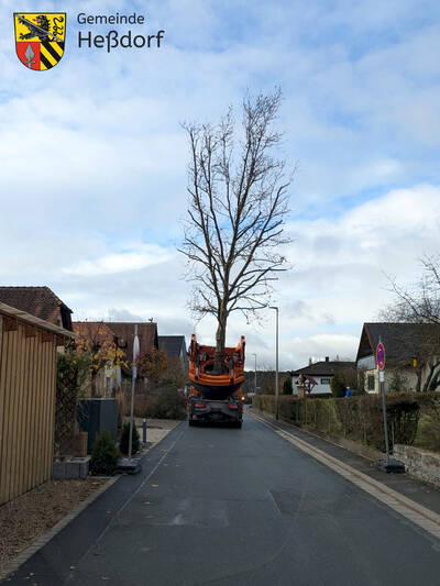 Dann trat sie ihre kurze Fahrt in Richtung Rathaus an.