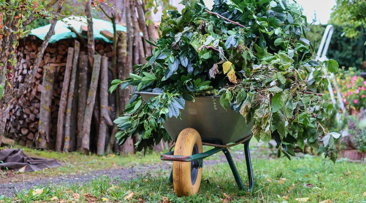 Grüngut Gartenabfall Symbolbild