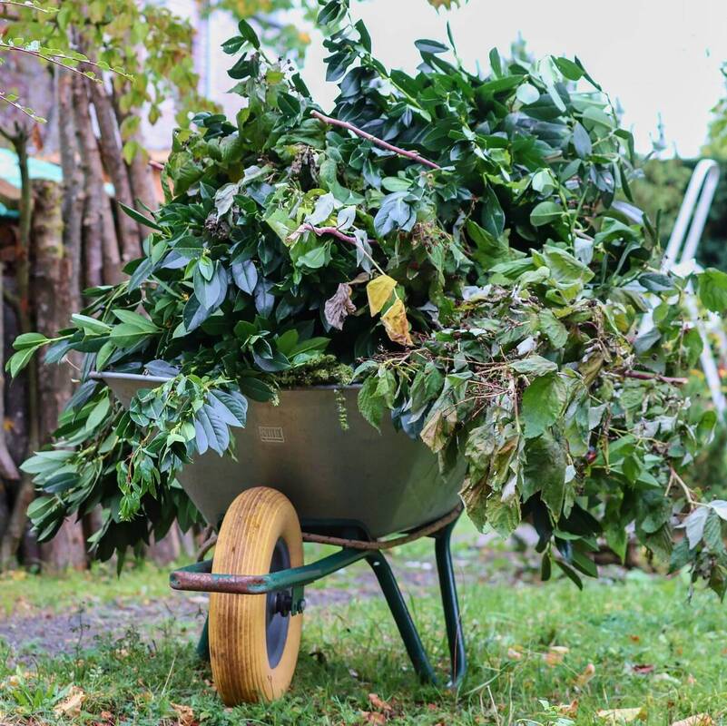 Grüngut Gartenabfall Symbolbild