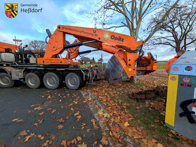Angekommen am RÜB 3 wurde dort nach der Kastanie auch die Platane (im Bild) aus dem Boden geholt. 